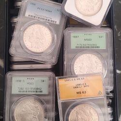 Box Of Graded Morgan Silver Dollars