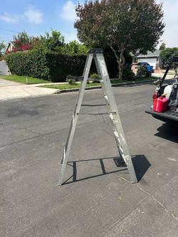 Ladder 6 ft