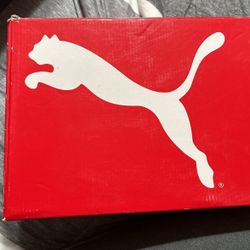 Pumas 