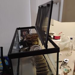 Turtle Or Fish Tank
