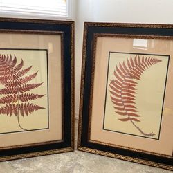 Pair Of Matted And Framed Rustic Fern Images
