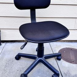 Office, Student Chair 