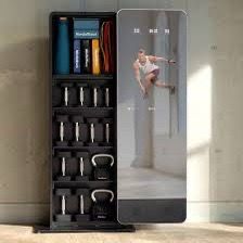 NordicTrack Vault
