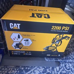 CAT Pressure Washer
