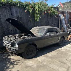 1964 Ford Mustang