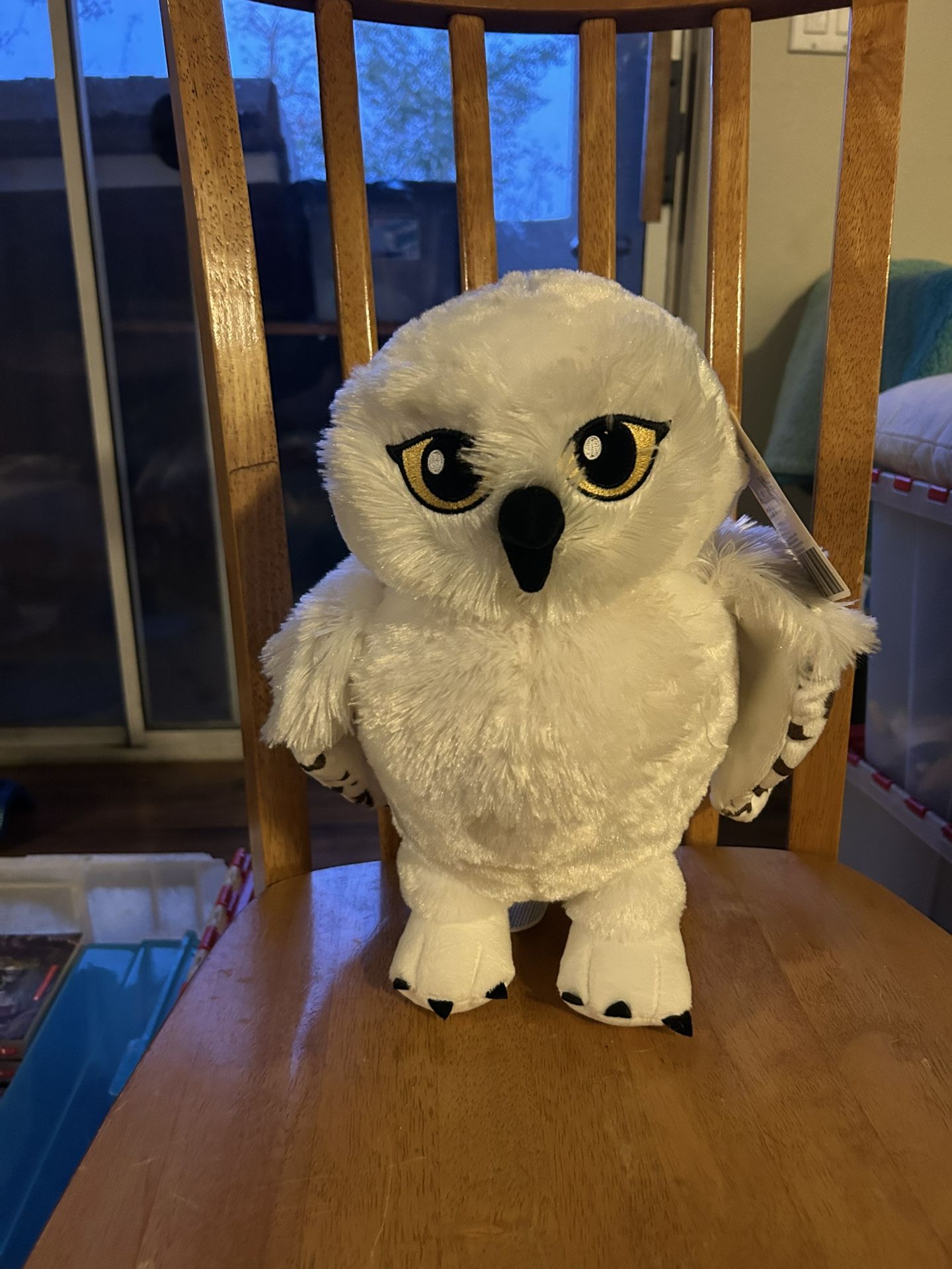 Harry Potter Personal Collection