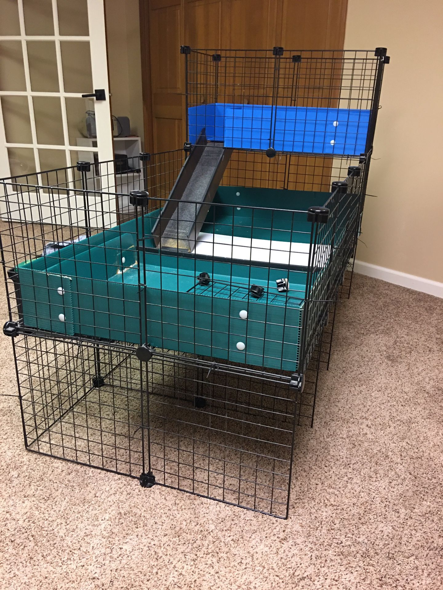 Guinea Pig Cage And Supplies