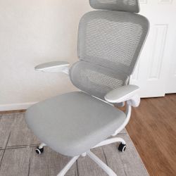TRALT Office Chair Ergonomic Desk Chair