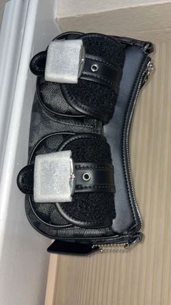 Ashton coach purse