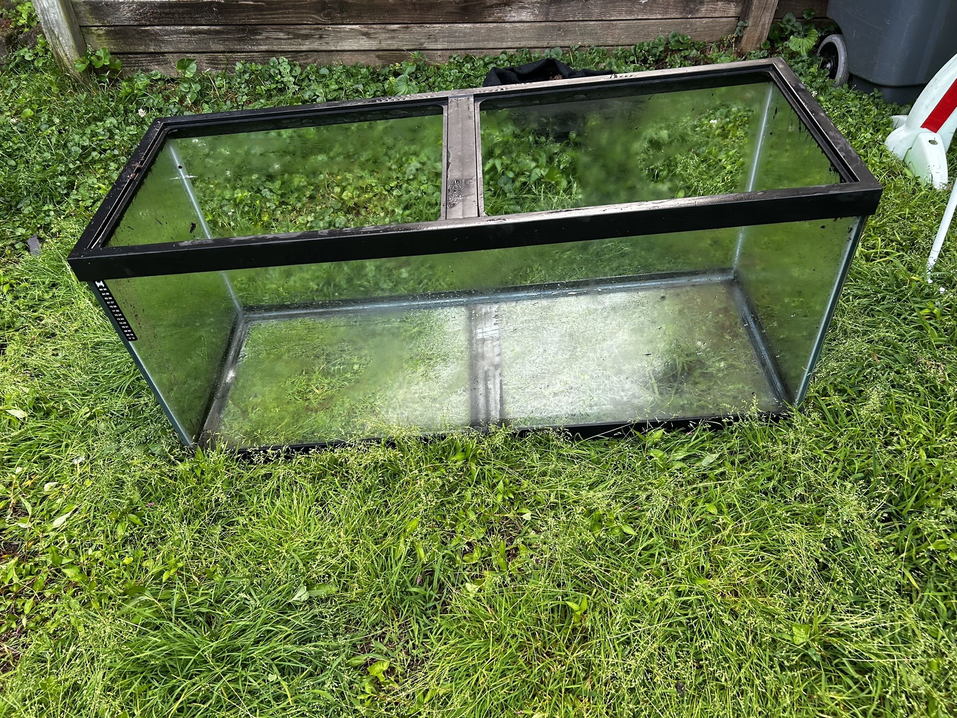Reptile tanks
