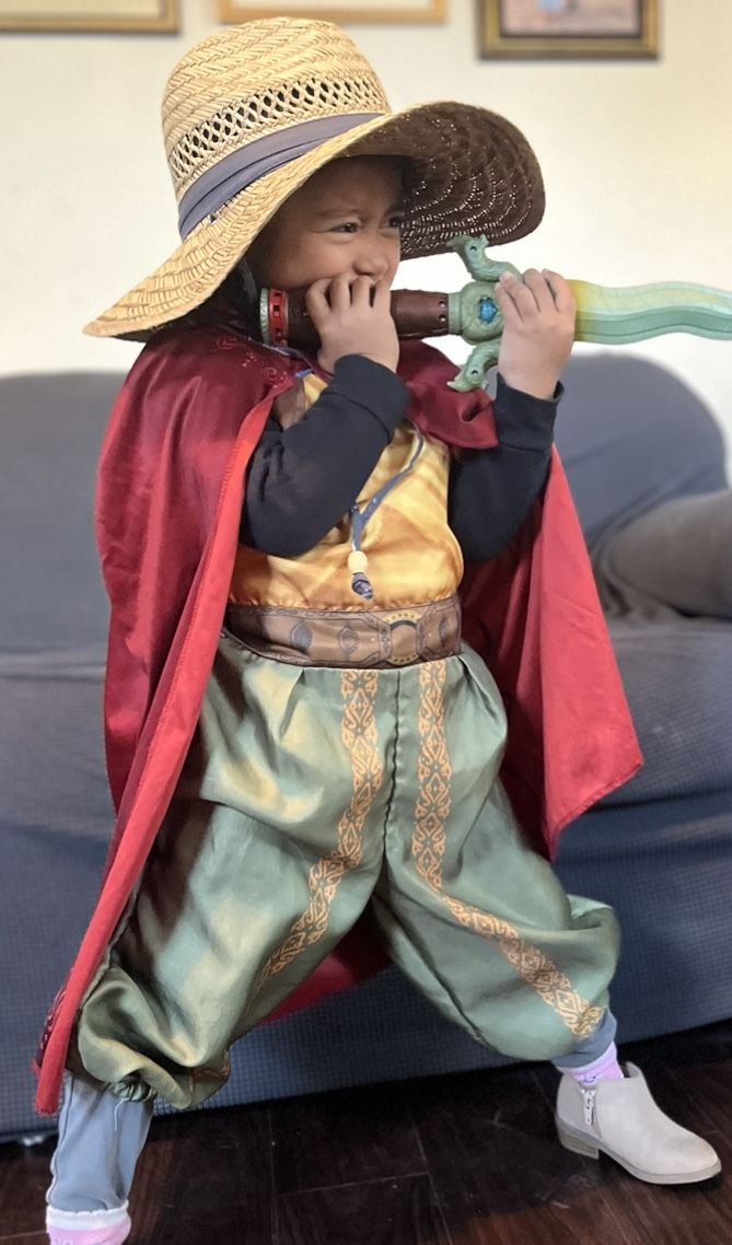 Hero Raya Costume 4-5T Set