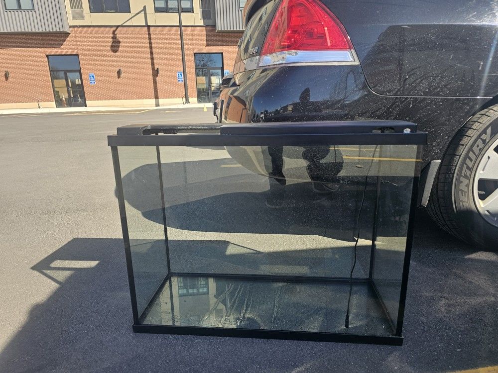 40 Gallon Fish Tank