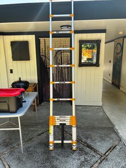Telescoping Ladder $150