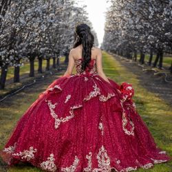 Quinceanera Dress Extra Small