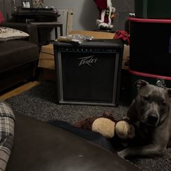 Peavey Amp Basic 60