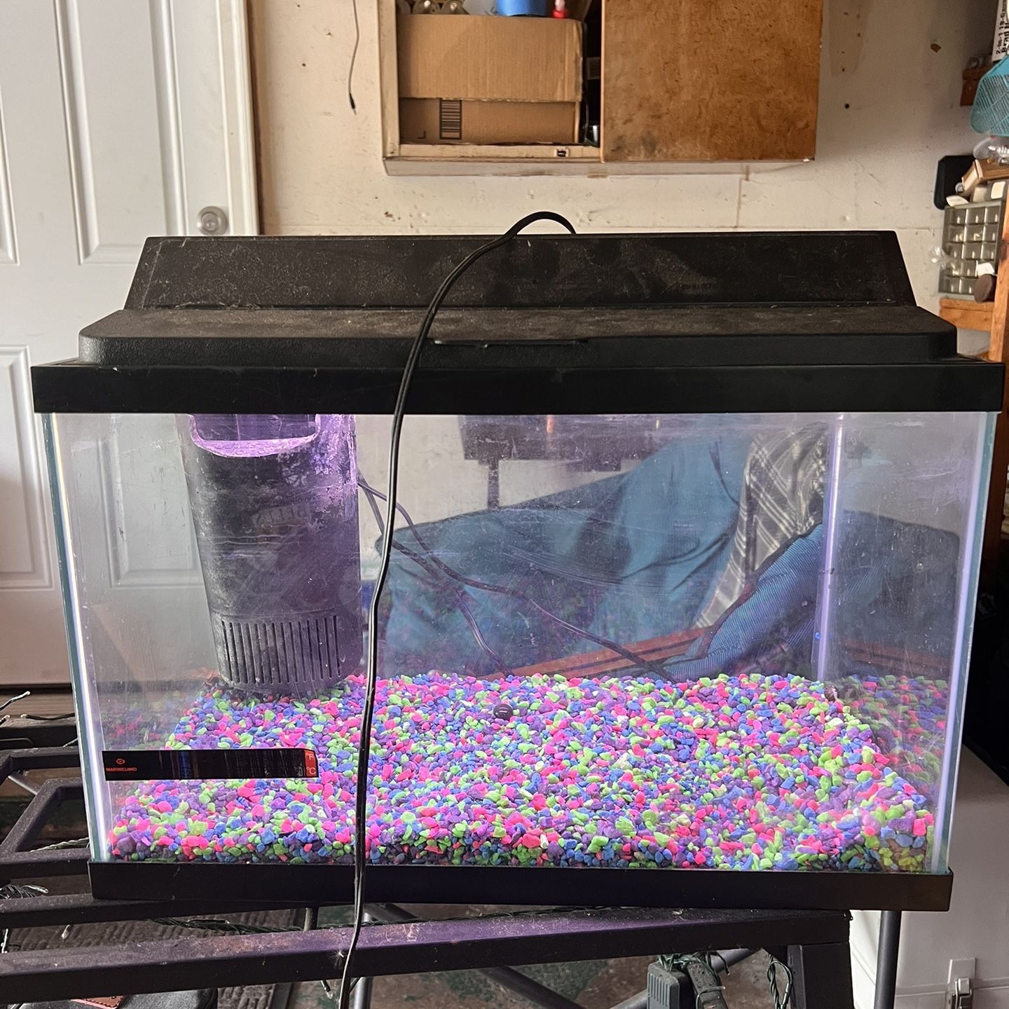 Fish tank 10 gallons with filter, light, decor and everything else you’d need for a fish