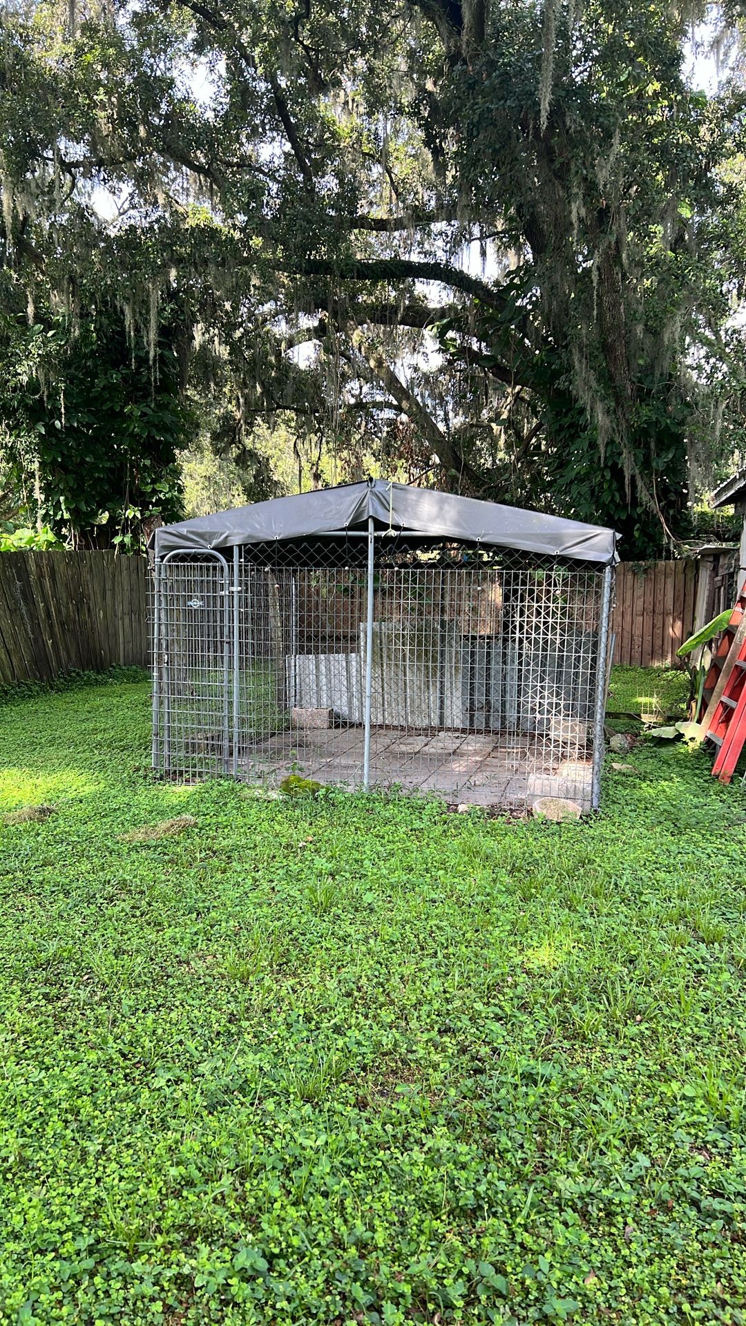 Dog House