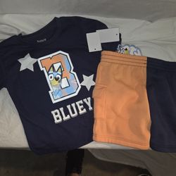 New With Tags Toddler Boys 3t Outfit