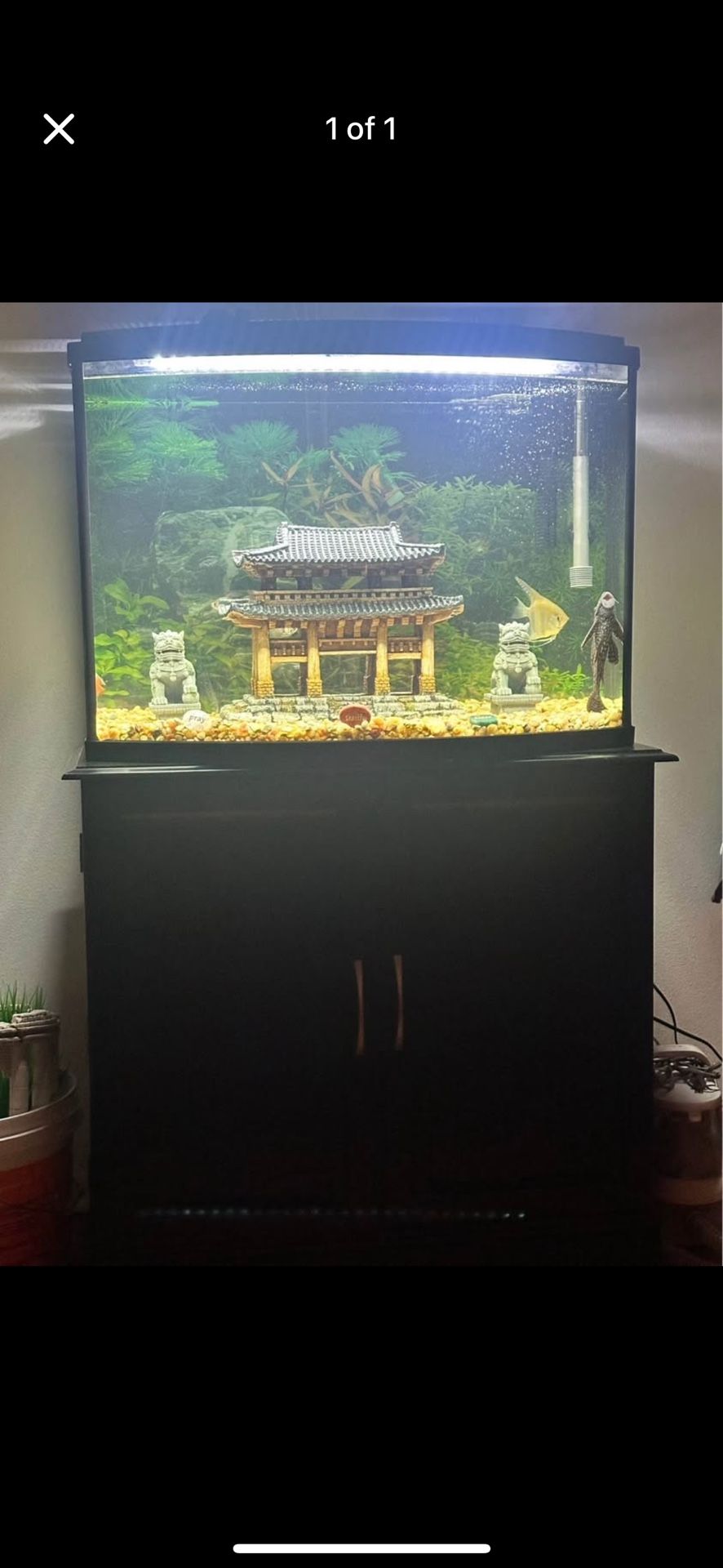 Fish tank