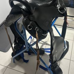 Saddle Horse