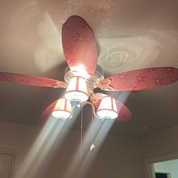Ceiling Fan