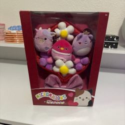 Squishmallow Valentine 