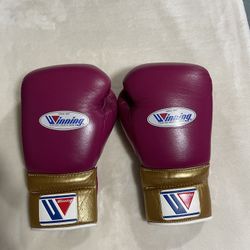 Winning MS500 14oz Boxing Gloves