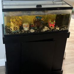Small Fish Tank