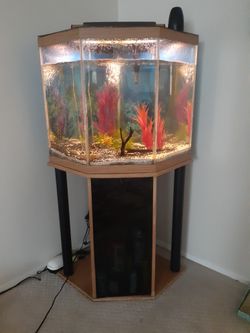 Fish Tank - 50 Gallon
