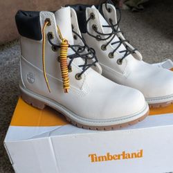 Timberland Premium 6in Waterproof light Grey Nubuck S7.5