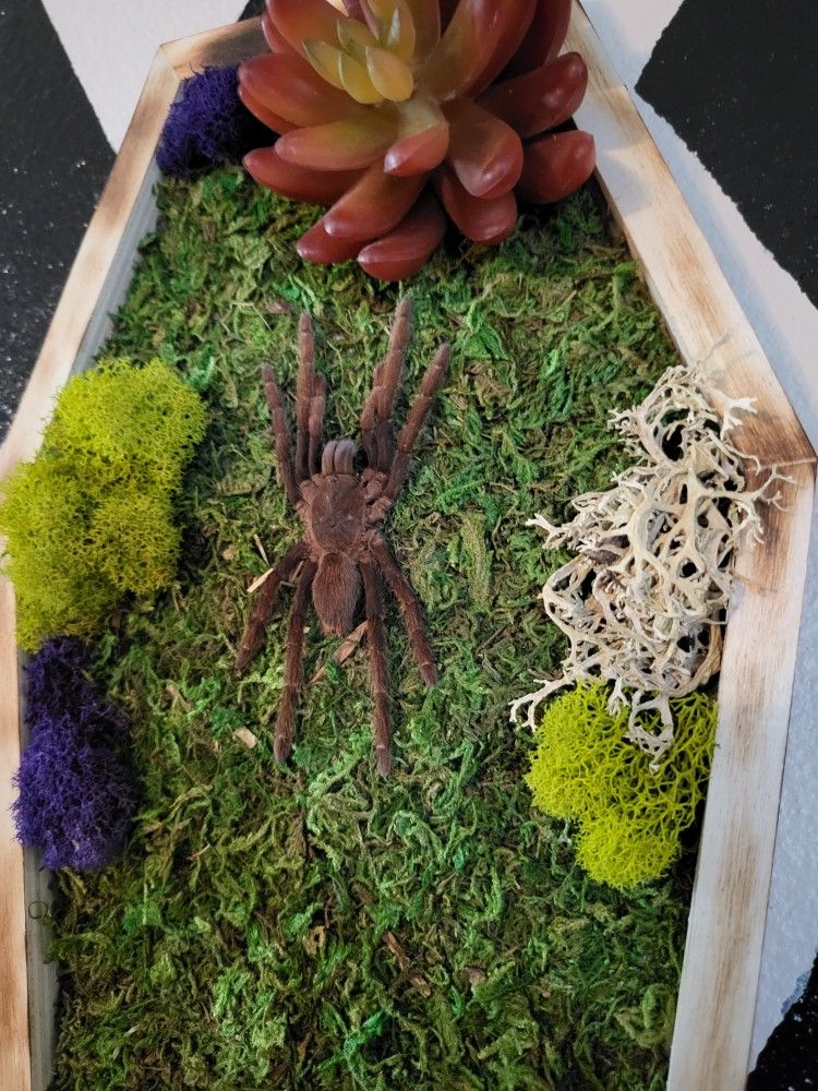 Wall hanging art Piece