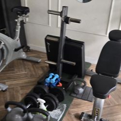 Set Of Gym Equipment In Mint Condition 