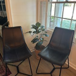 Designer Chairs 