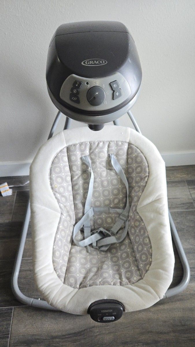 Graco Baby Swing