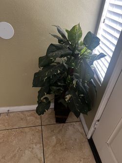 Small Fake Plant