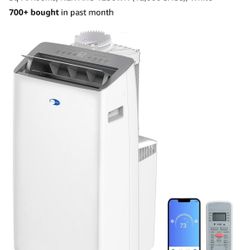 Dual Hose Inverter Portable Air Conditioner 