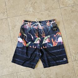 New Ocean Current Board Shorts Swim Flamingos Striped Multicolor Trunks Boy's XL