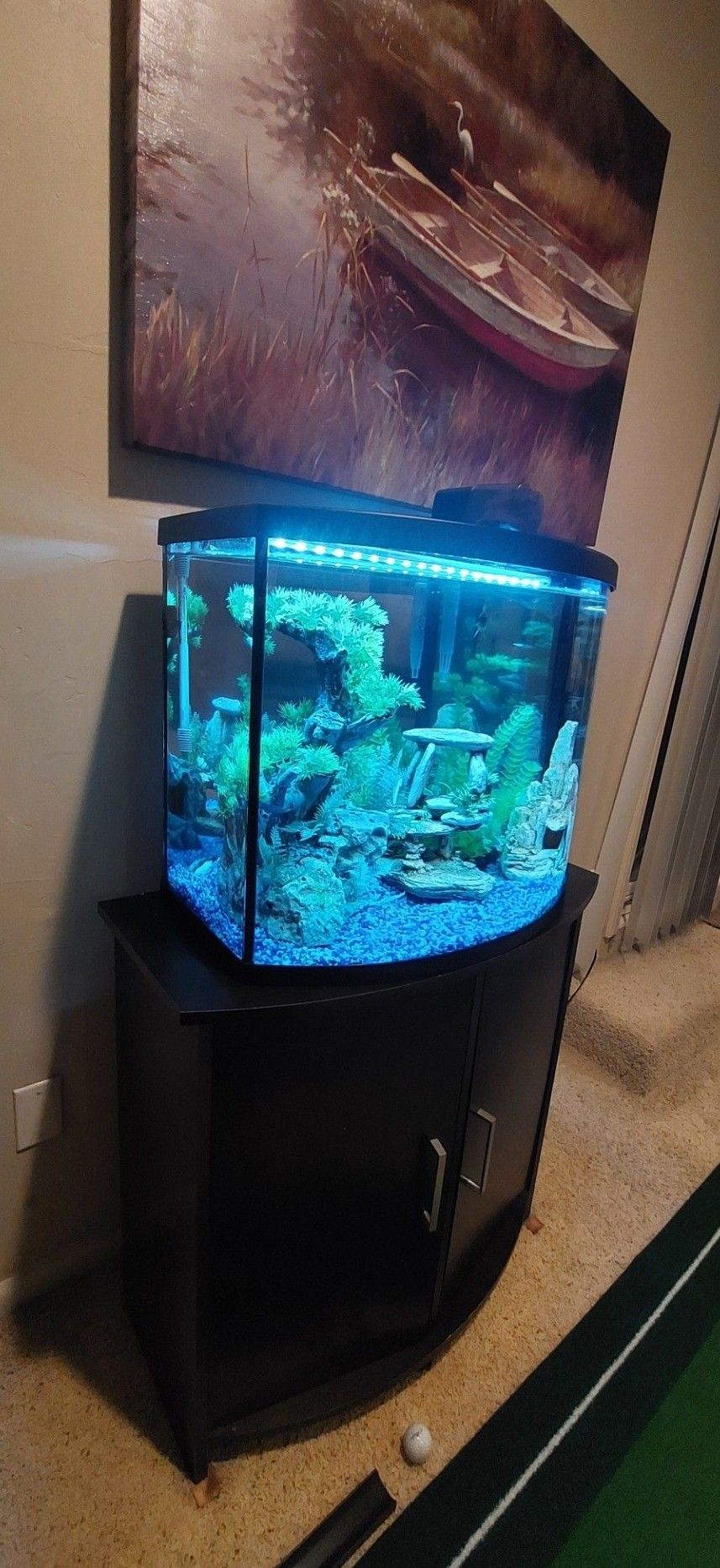Aquarium With Stand Cabinet