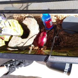 Reptile Tank 