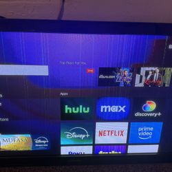 55" Samsung Flat Screen Plasma TV