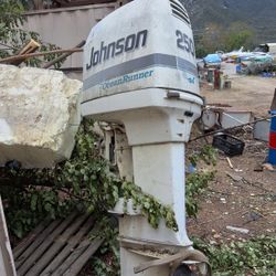 Johnson 250hp outboard motor.  Ocean runner. 