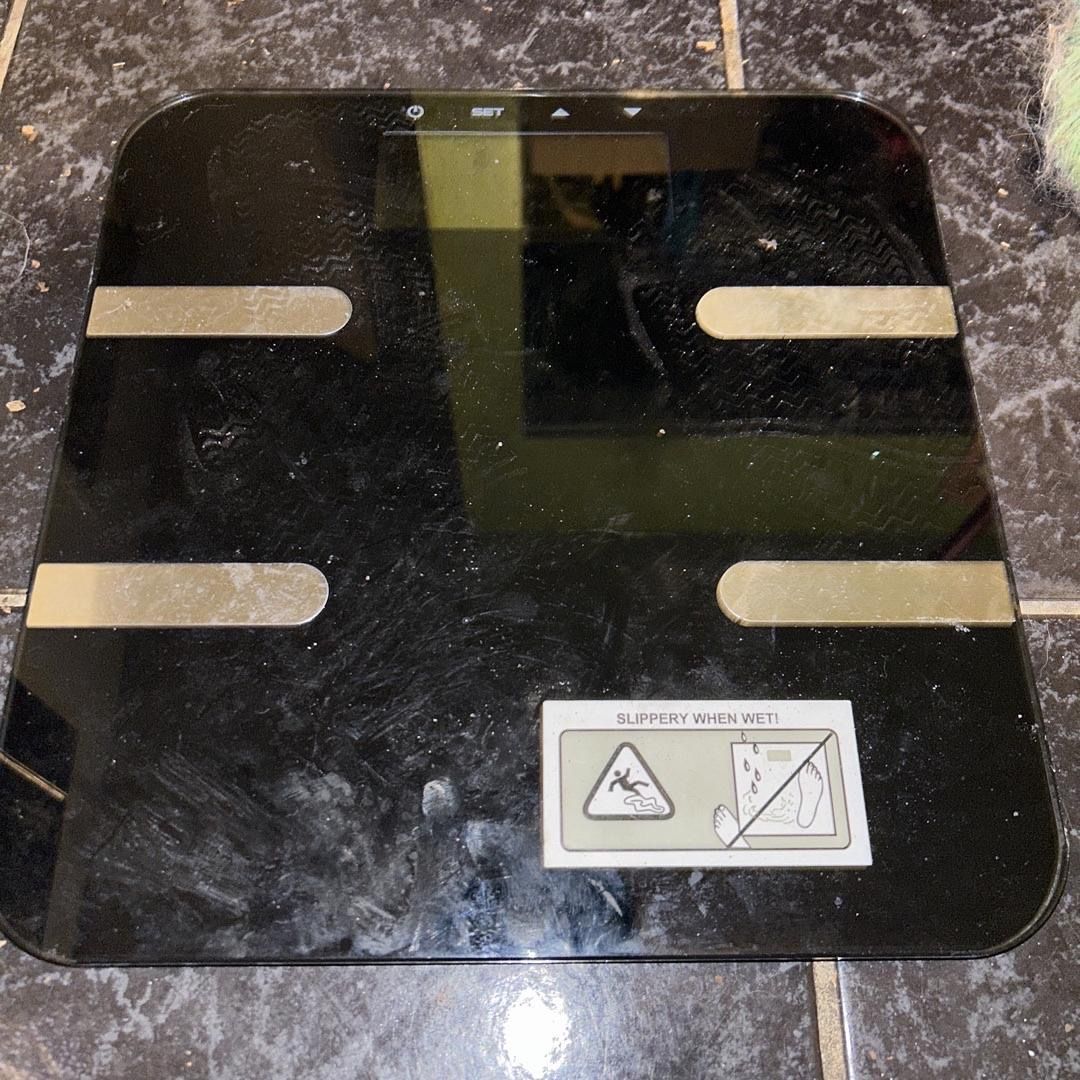 Easy Home Body Fat Scale w/ User Guide Aldi And BMI