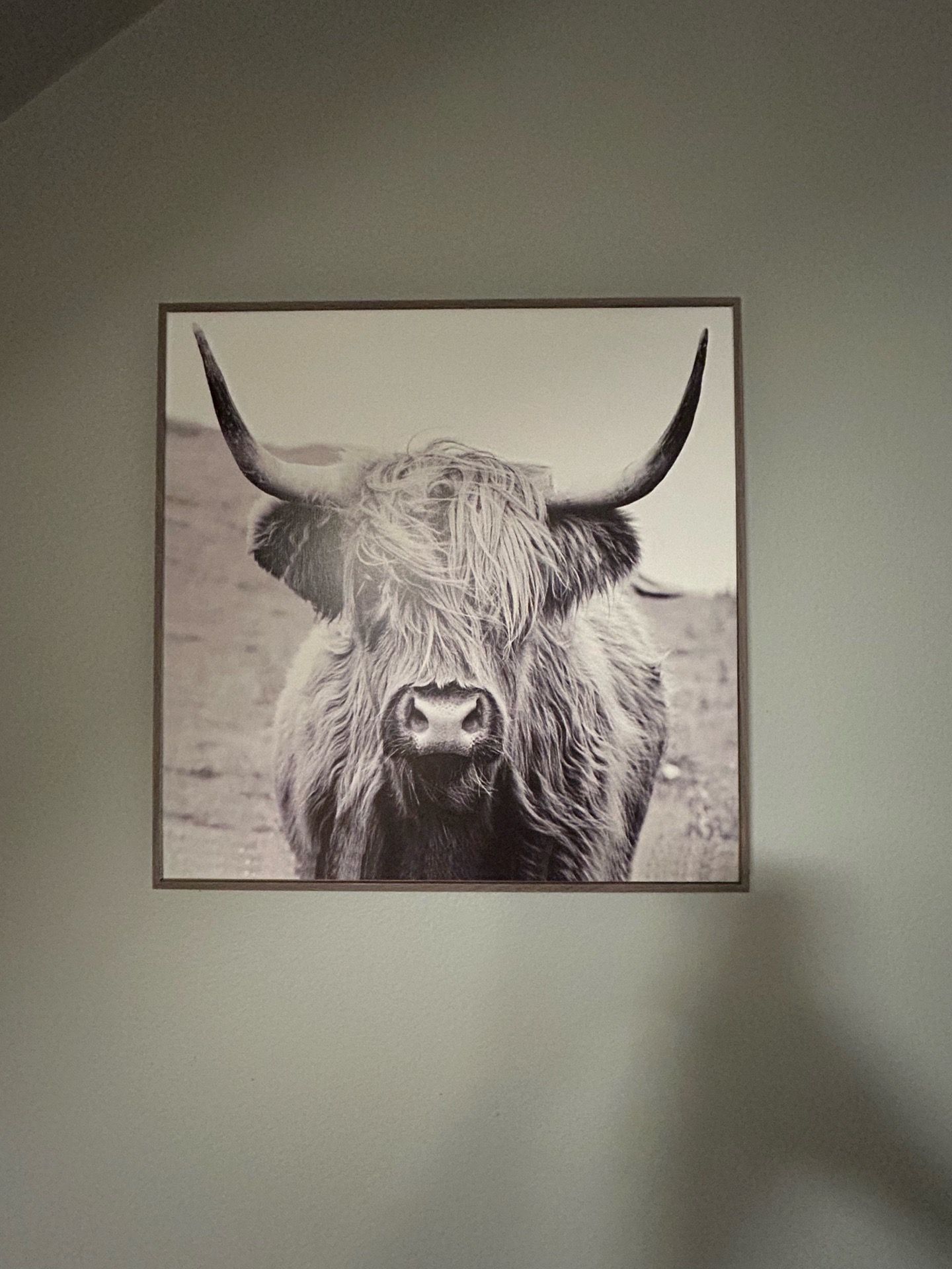 Wooden Cow Wall Art