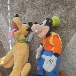 Stuffed Animals 