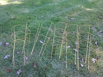 6 tomato cages    free