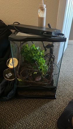 full set of tank (ASAP SELL)