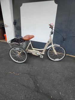 Trek Trike 3 Speed Ready  To Ride 