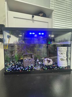 Fish tank 5 gallon