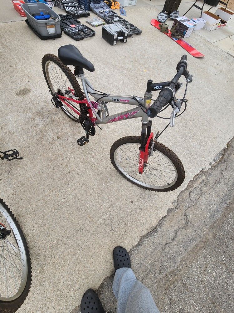 Regular Standard Female Bike