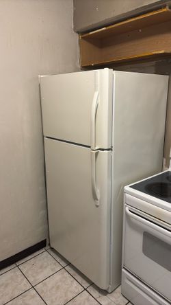 Fridge With Freezer